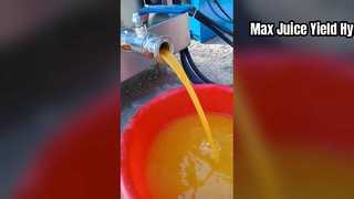 Pembuat Jus Hidraulik yang Kuat untuk Penggunaan Komersial