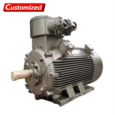 Harga yang bagus Motor Asinkron Tiga Fasa Tahan Ledakan Kustom dengan Frekuensi 50Hz dan Daya 22KW untuk Aplikasi Industri on line